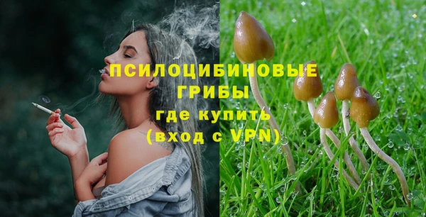 ешки Алексин